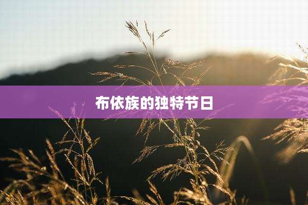 布依族的独特节日