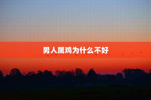 男人属鸡为什么不好