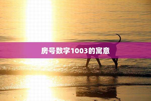 房号数字1003的寓意
