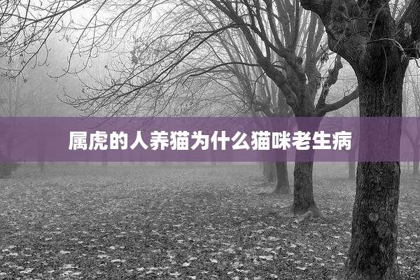 属虎的人养猫为什么猫咪老生病