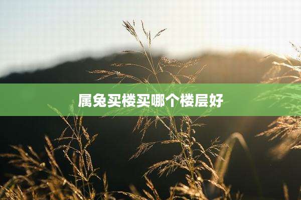 属兔买楼买哪个楼层好