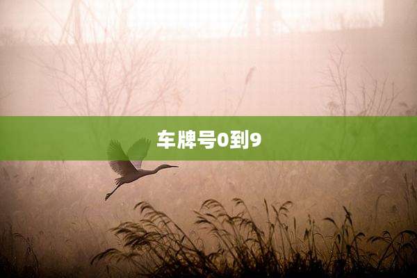 车牌号0到9