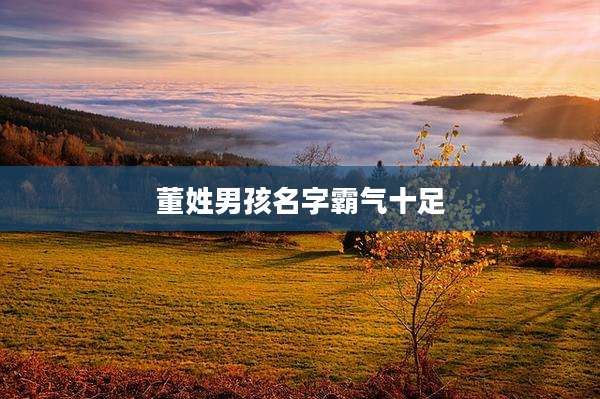 董姓男孩名字霸气十足
