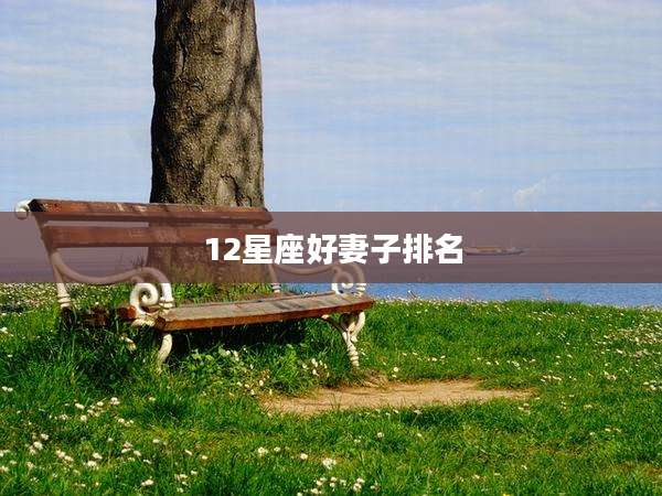 12星座好妻子排名
