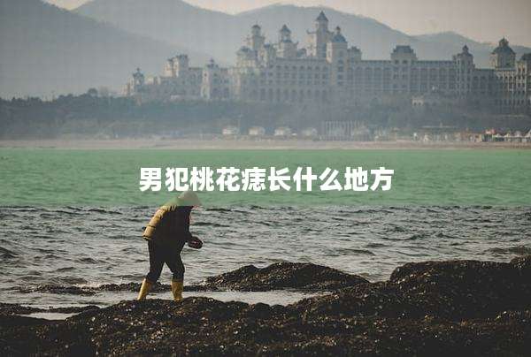 男犯桃花痣长什么地方