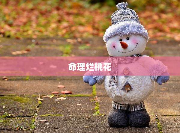 命理烂桃花