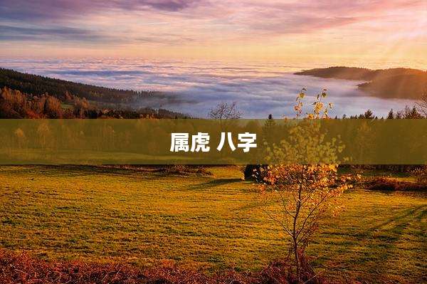 属虎 八字