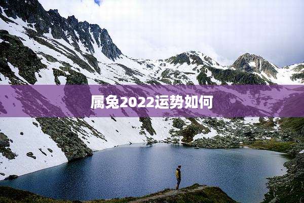 属兔2022运势如何