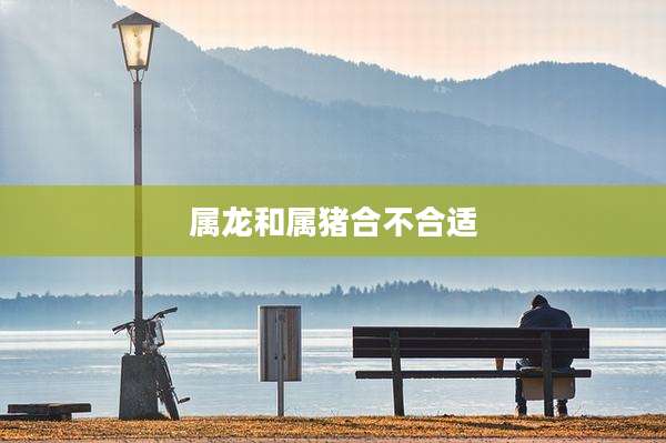 属龙和属猪合不合适