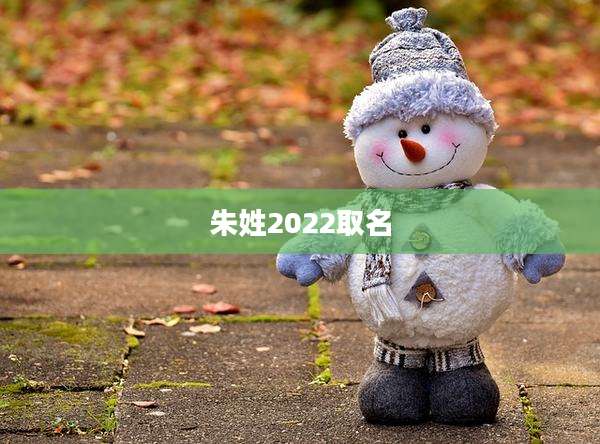 朱姓2022取名