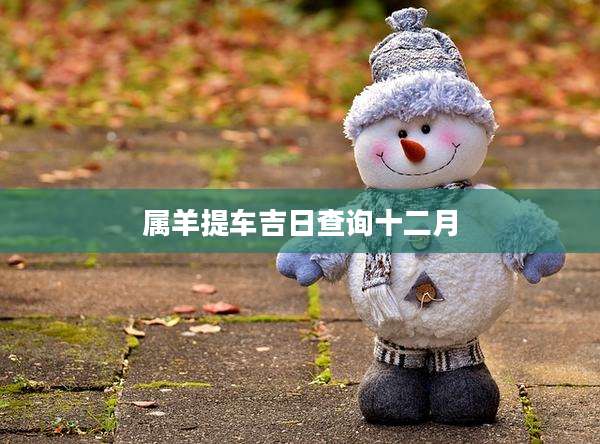 属羊提车吉日查询十二月