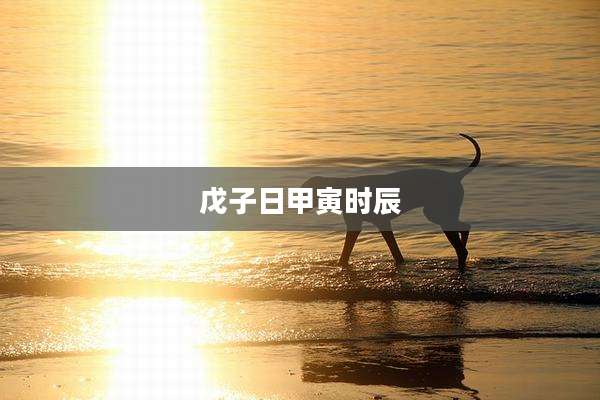 戊子日甲寅时辰