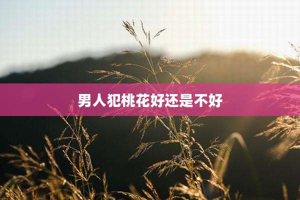 男人犯桃花好还是不好