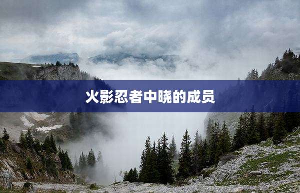 火影忍者中晓的成员