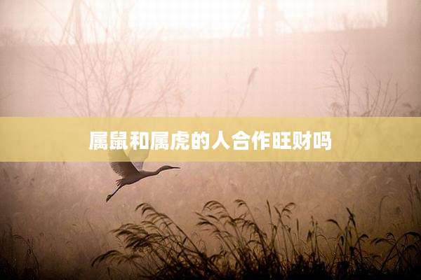 属鼠和属虎的人合作旺财吗