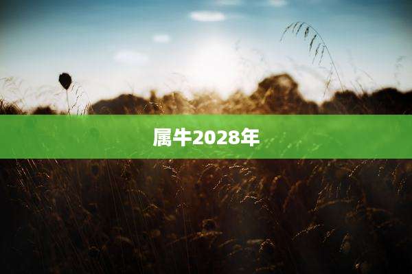 属牛2028年