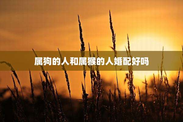 属狗的人和属猴的人婚配好吗