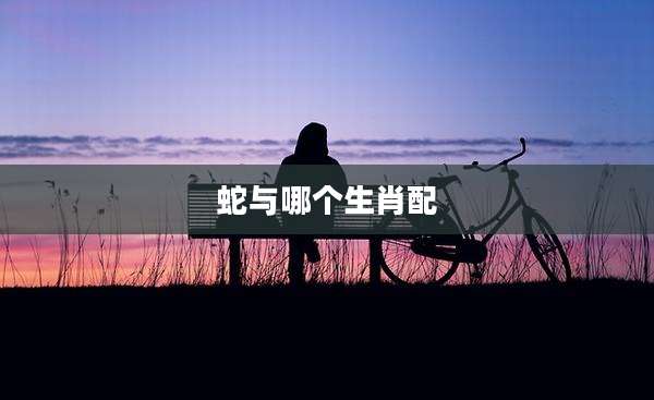 蛇与哪个生肖配