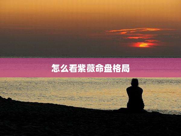 怎么看紫薇命盘格局