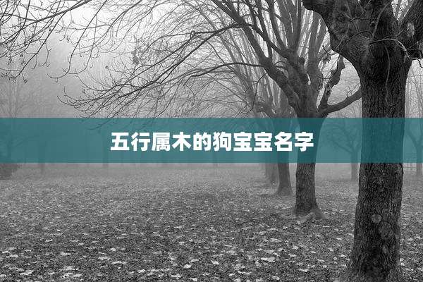 五行属木的狗宝宝名字