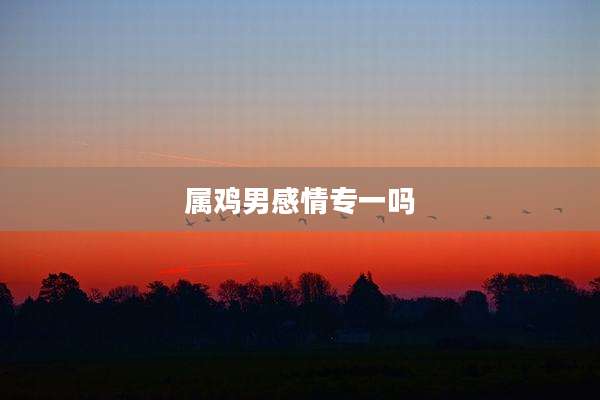 属鸡男感情专一吗