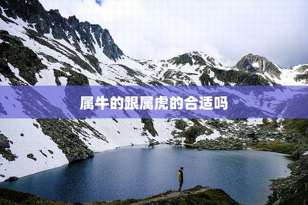 属牛的跟属虎的合适吗