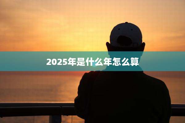 2025年是什么年怎么算