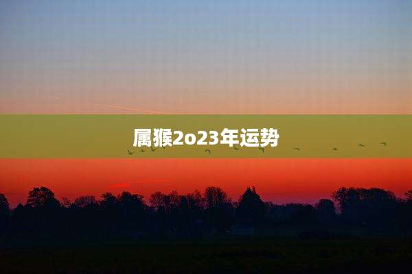 属猴2o23年运势