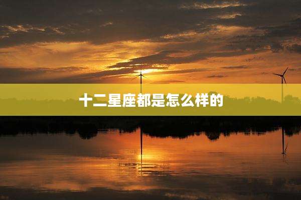 十二星座都是怎么样的