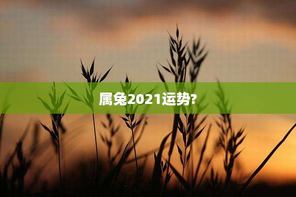 属兔2021运势?