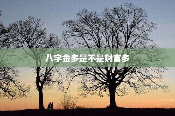 八字金多是不是财富多