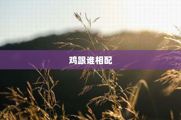 鸡跟谁相配