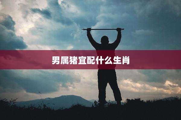 男属猪宜配什么生肖