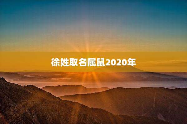 徐姓取名属鼠2020年