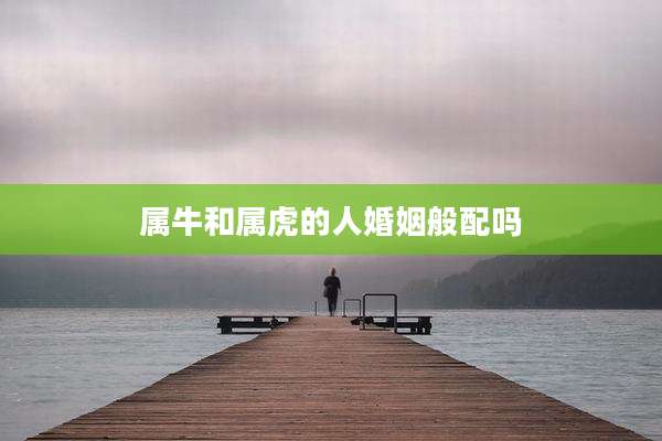 属牛和属虎的人婚姻般配吗