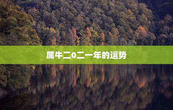 属牛二0二一年的运势