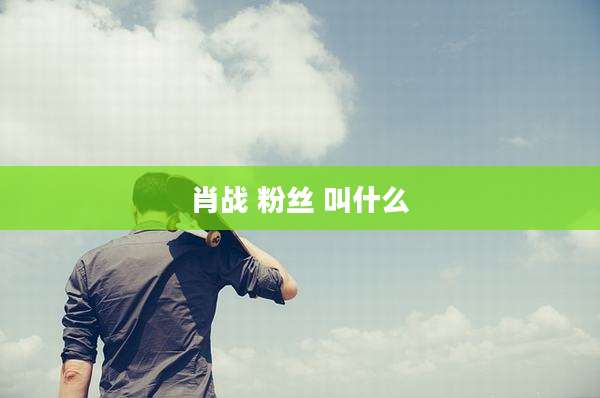 肖战 粉丝 叫什么