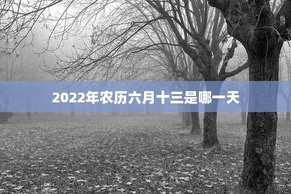 2022年农历六月十三是哪一天