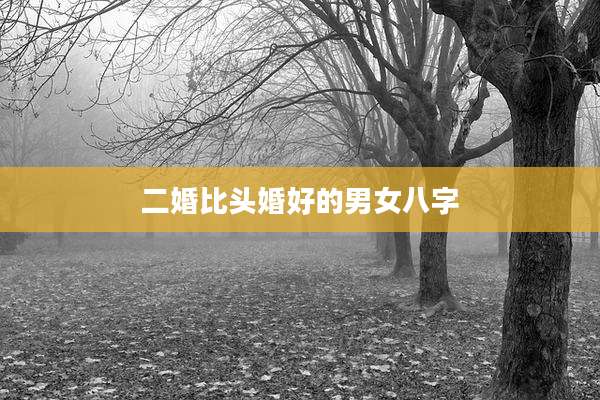二婚比头婚好的男女八字