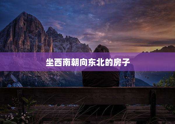 坐西南朝向东北的房子