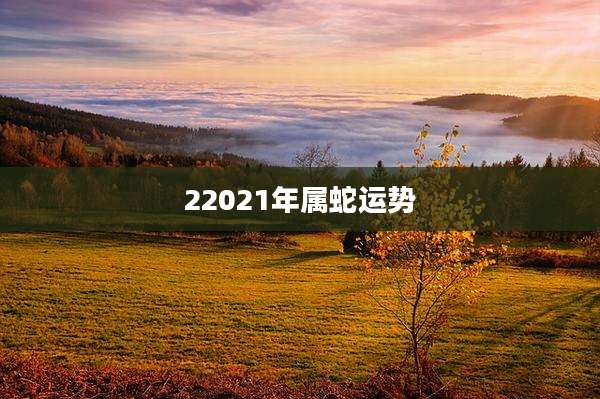 22021年属蛇运势