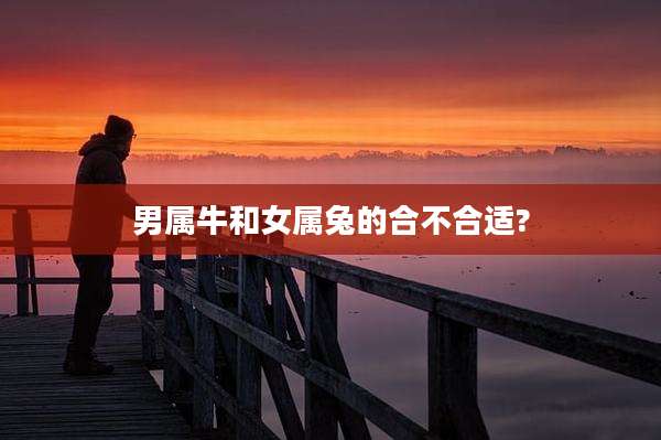 男属牛和女属兔的合不合适?