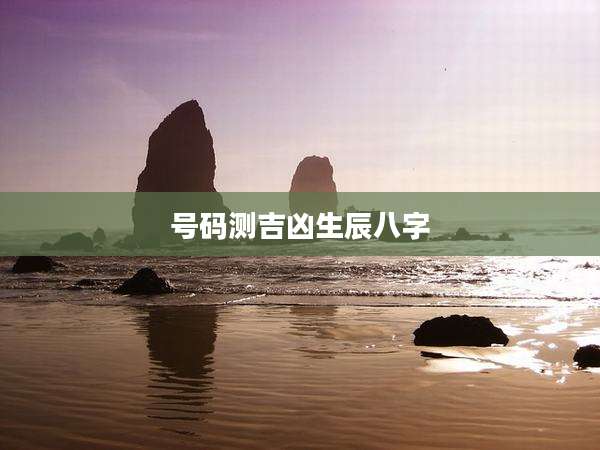 号码测吉凶生辰八字