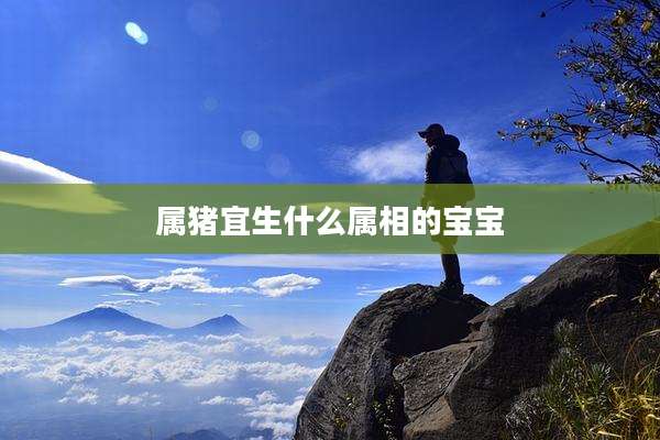 属猪宜生什么属相的宝宝