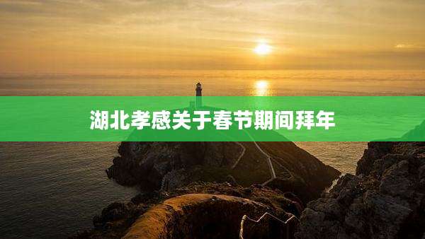 湖北孝感关于春节期间拜年
