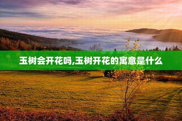 玉树会开花吗,玉树开花的寓意是什么