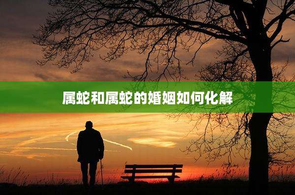 属蛇和属蛇的婚姻如何化解
