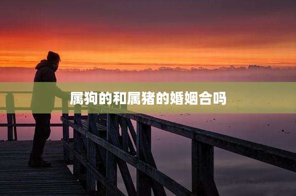 属狗的和属猪的婚姻合吗