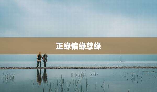 正缘偏缘孽缘