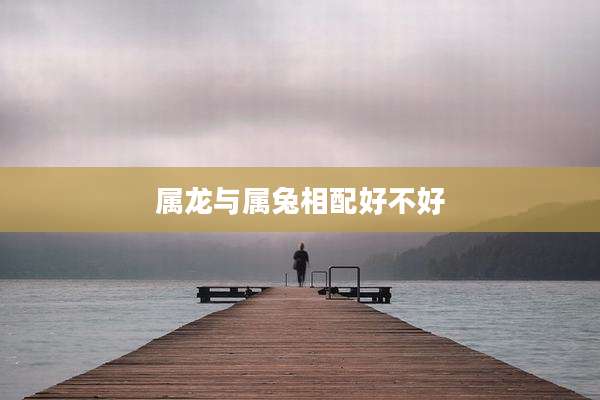 属龙与属兔相配好不好